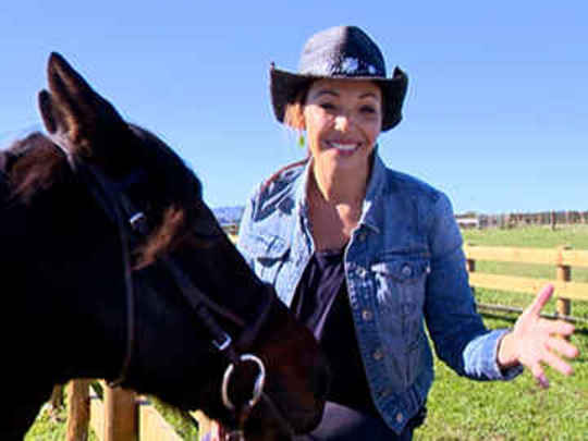 Thumbnail image for Hōiho - Series two - "Best of" episode