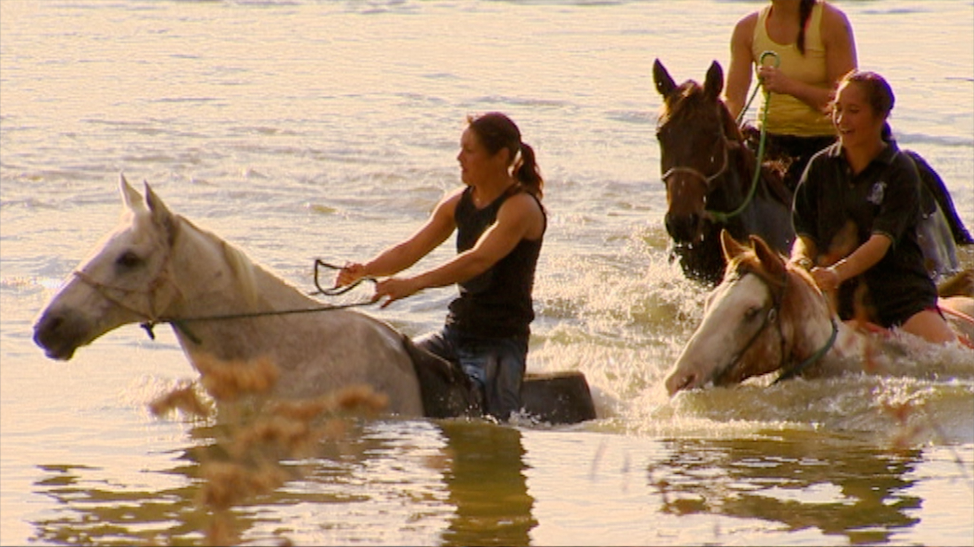 Hero image for Hōiho - Series Two - "Best of" Episode