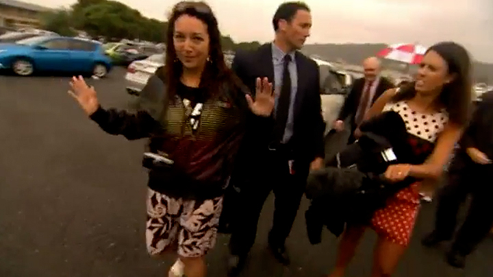 Hero image for One News - Steven Joyce: The TPP Protest