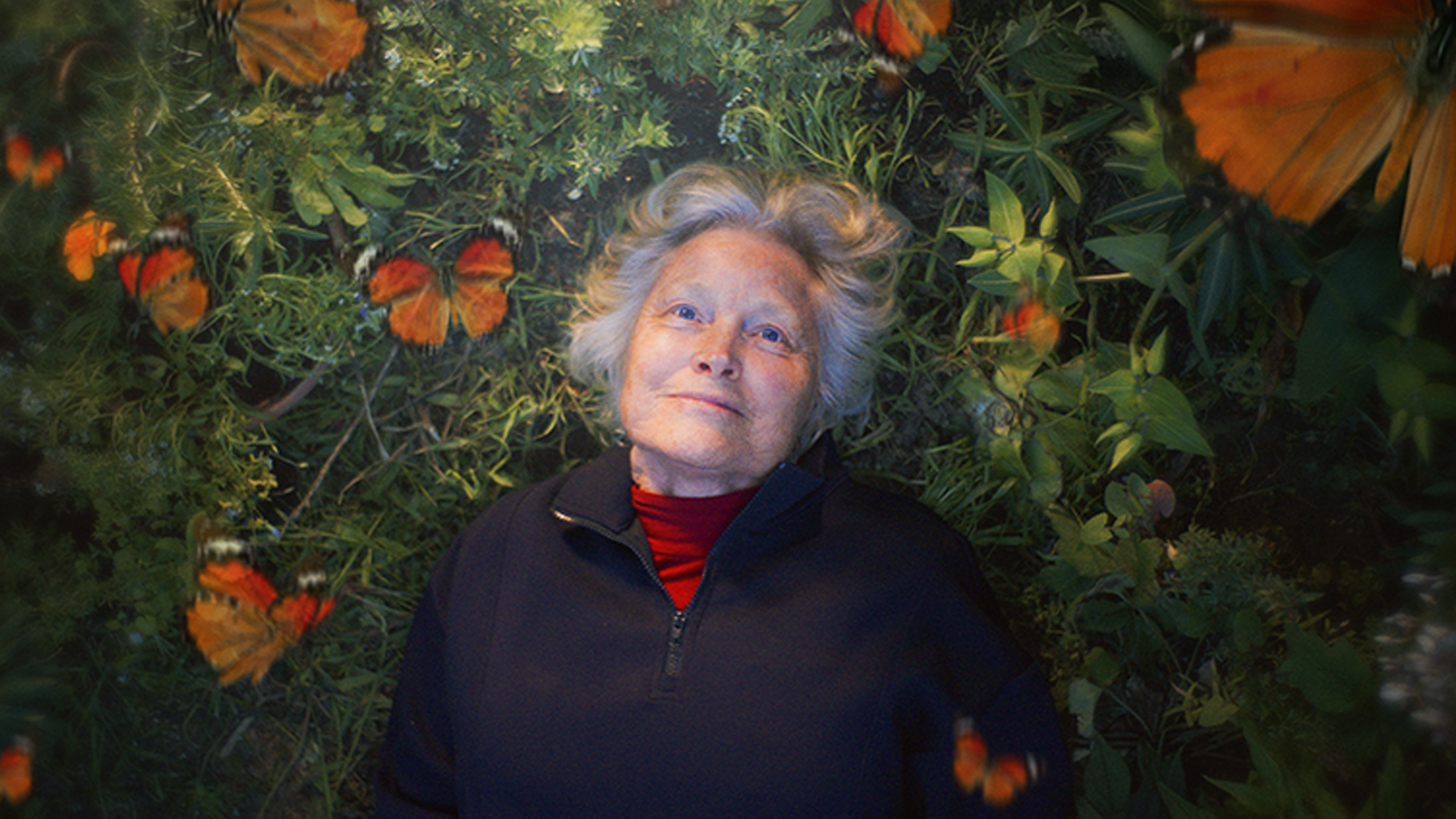 Image for Caterpillar