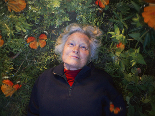 Thumbnail image for Caterpillar