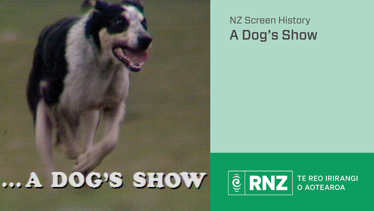 Hero image for RNZ Interview: A Dog's Show - John Gordon