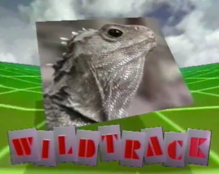 Wildtrack
