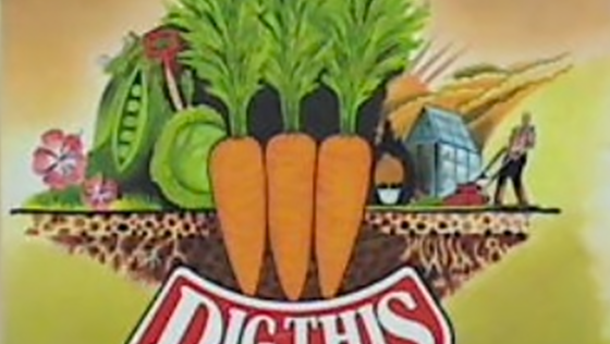 Hero Banner