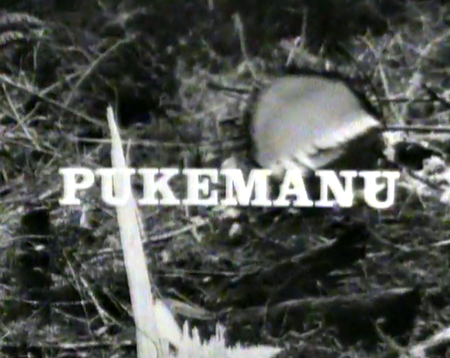 Pukemanu