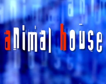 Animal House/SPCA Rescue