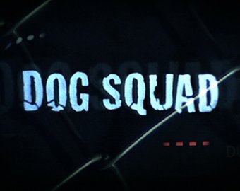 Dog Squad