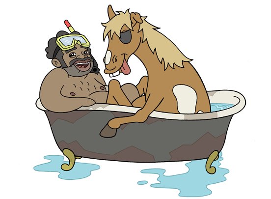 Honky-the-Wonderhorse-Gallery-2.jpg