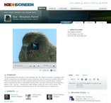 Image The History of NZ On Screen