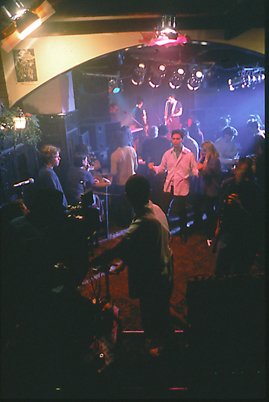 Scarfies_gallery_3.jpg