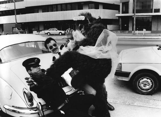 Send-a-Gorilla-gallery-6.jpg