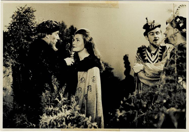 Taming-of-the-Shrew-2.jpg