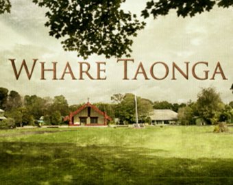 Whare Taonga