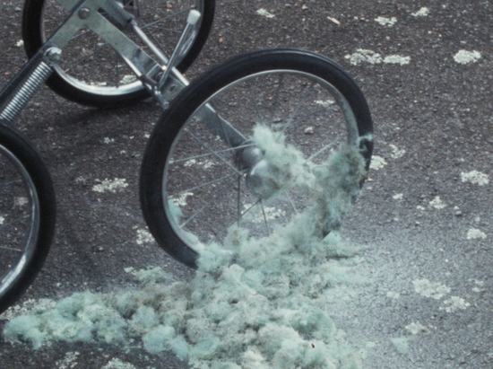 mould-wide.jpg