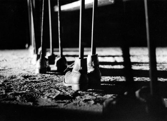 shoes-gallery-2.jpg